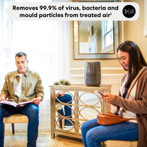 AP100 Air Purifier Small