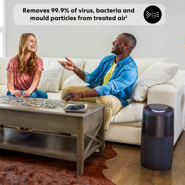 AP300 Air Purifier Large