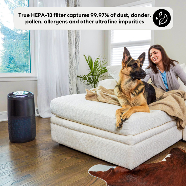 AP300 Air Purifier Large
