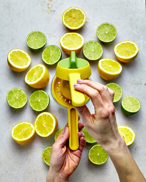 Juicemax Citrus Press