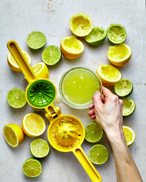 Juicemax Citrus Press