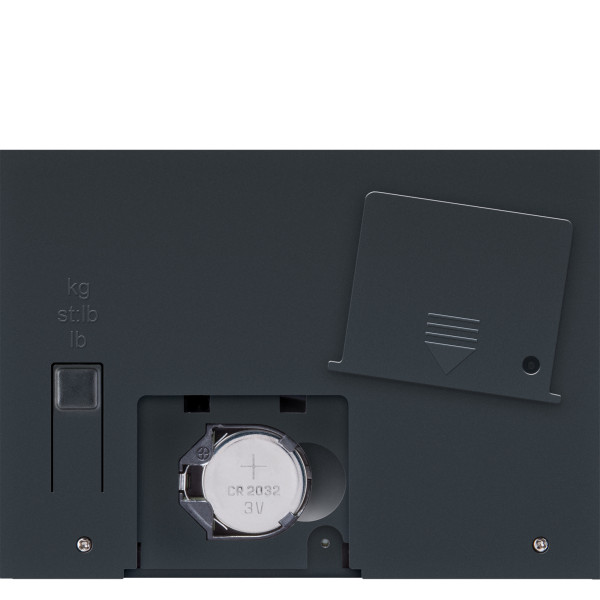 Digital Personal Scale Style Sense Compact 100