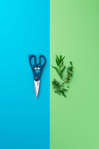 Scissors